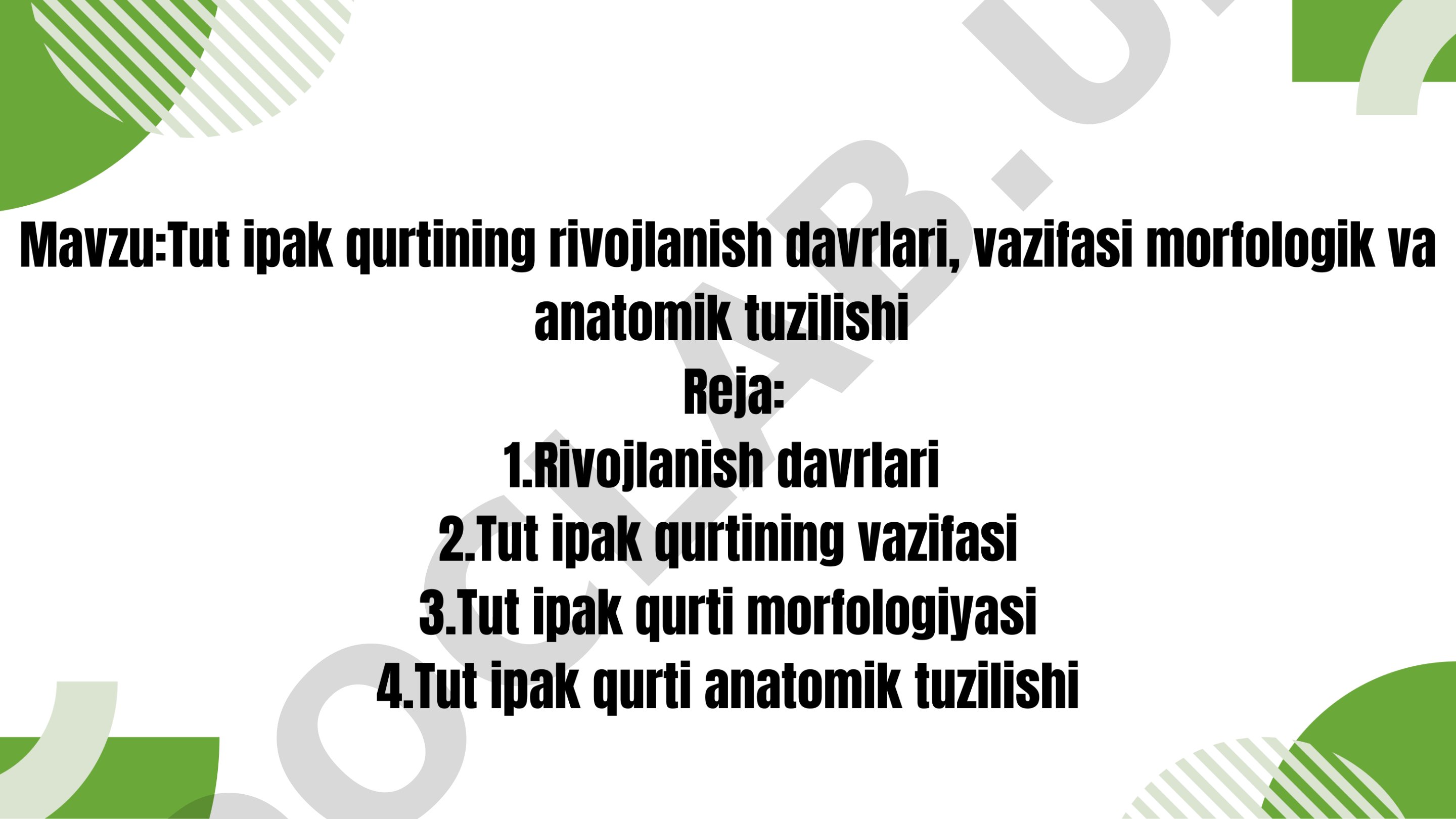 Tut ipak qo'rtining rivojlanish davri