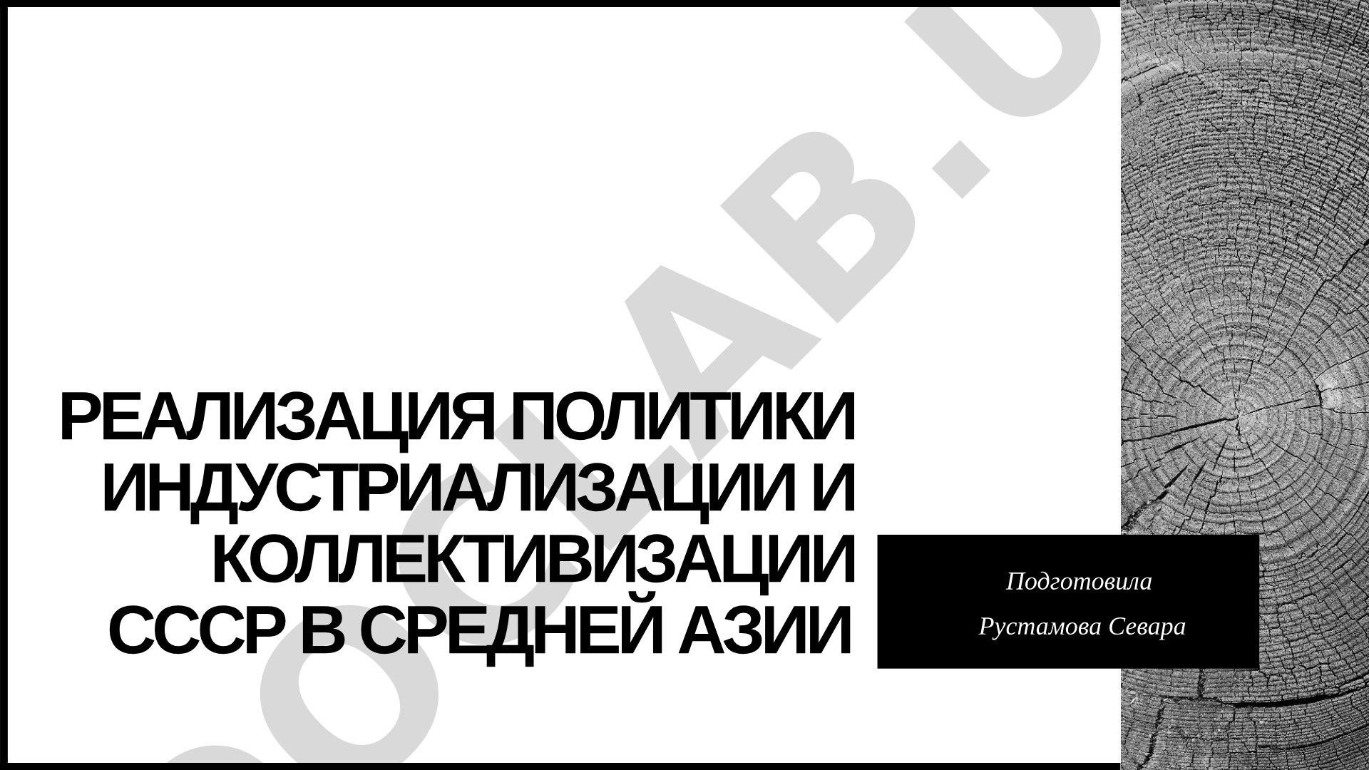 Реализация политики индустриализации и коллективизации СССР в Средней Азии