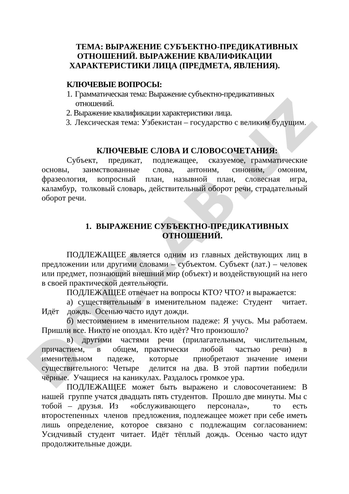 Выражение субъектно-предикативных отношений. Выражение квалификации характеристики лица (предмета, явления)