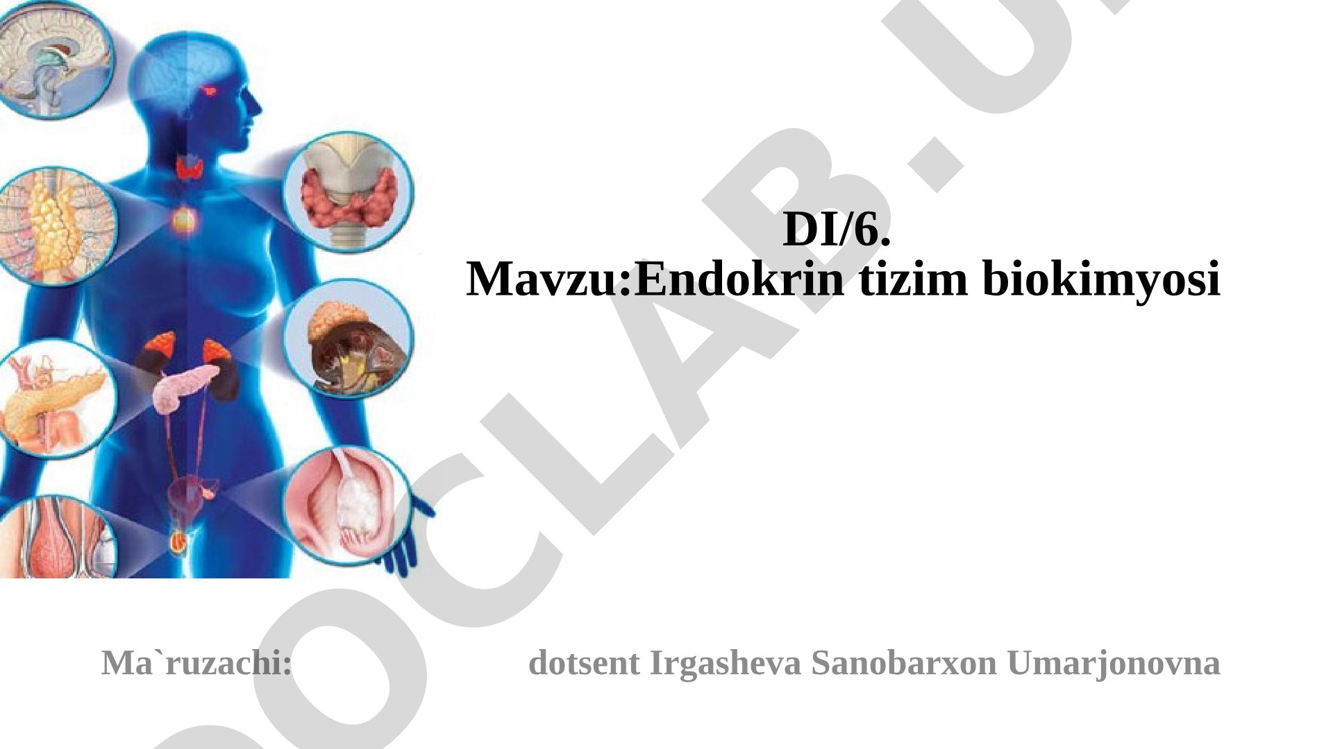 Endokrin tizim biokimyosi