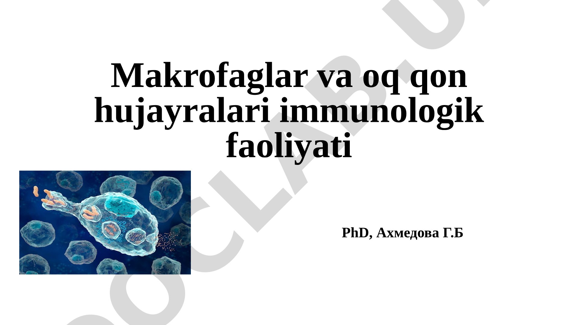 Makrofaglar va oq qon hujayralari immunologik faoliyati