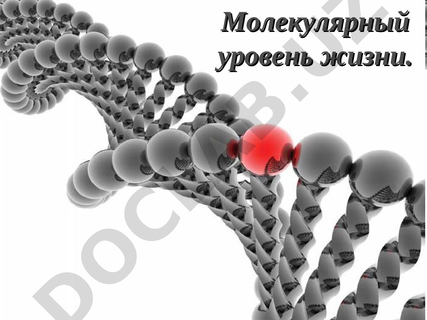 Молекулярный уровень жизни. План лекции