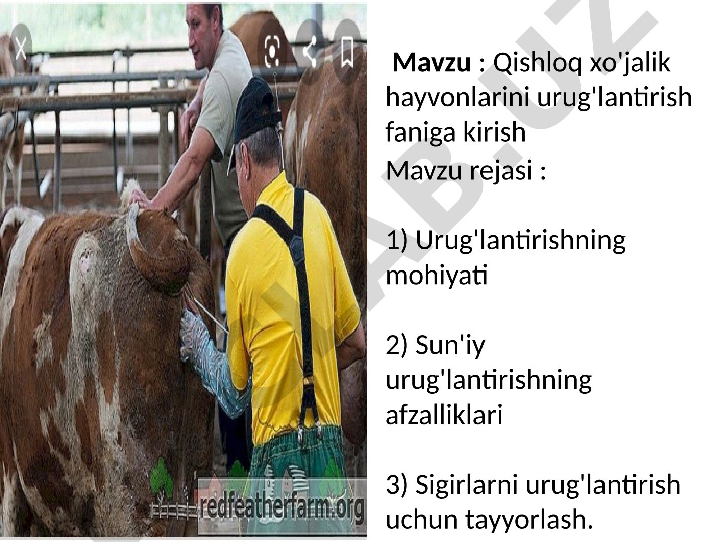 Qishloq xo'jalik hayvonlarini urug'lantirish faniga kirish