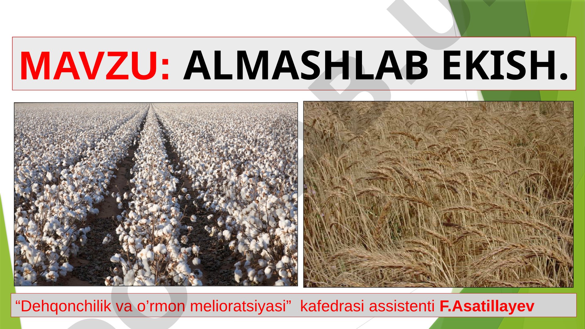 Almashlab ekish
