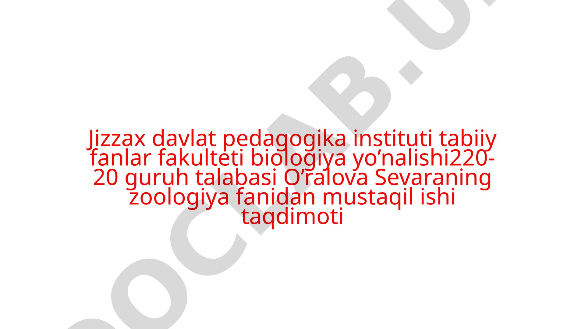 Bufo danatensis pisanetz – O'rta Osiyo qurbaqasi