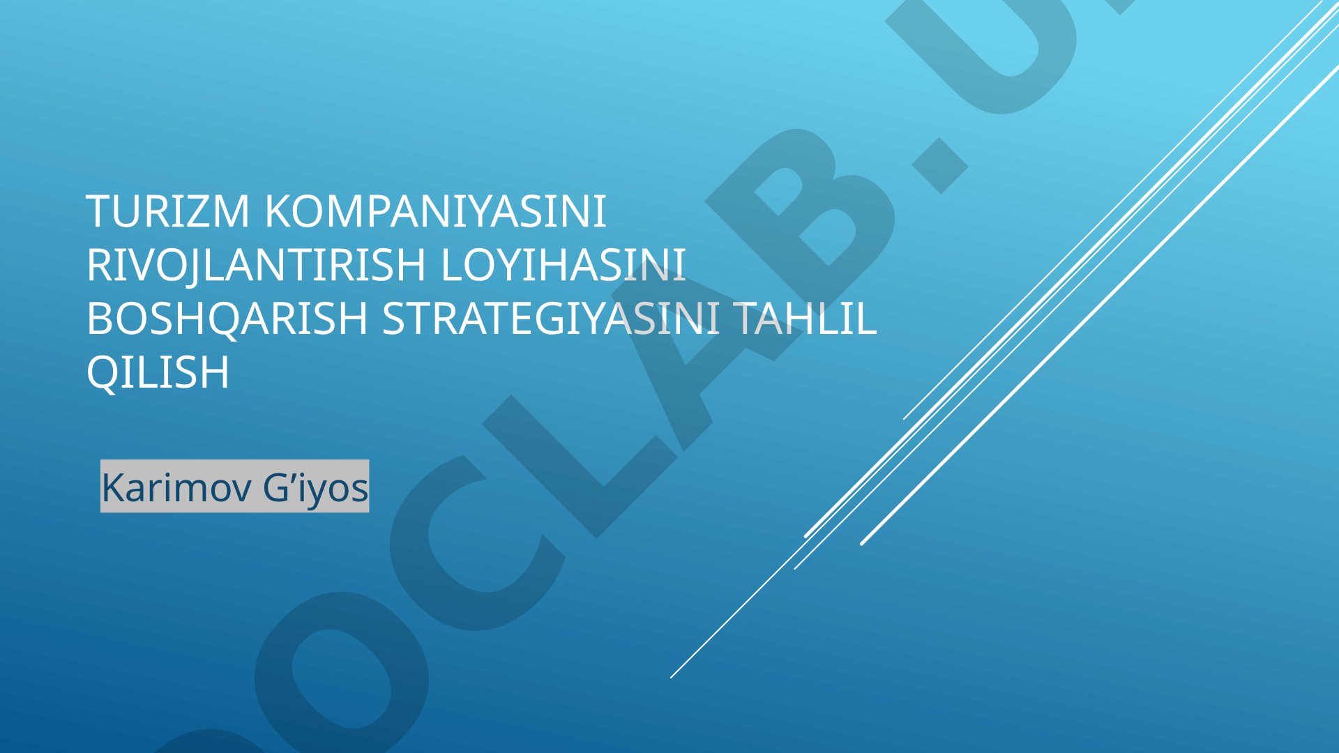 Turizm kompaniyasini rivojlantirish loyihasini boshqarish strategiyasini tahlil qilish