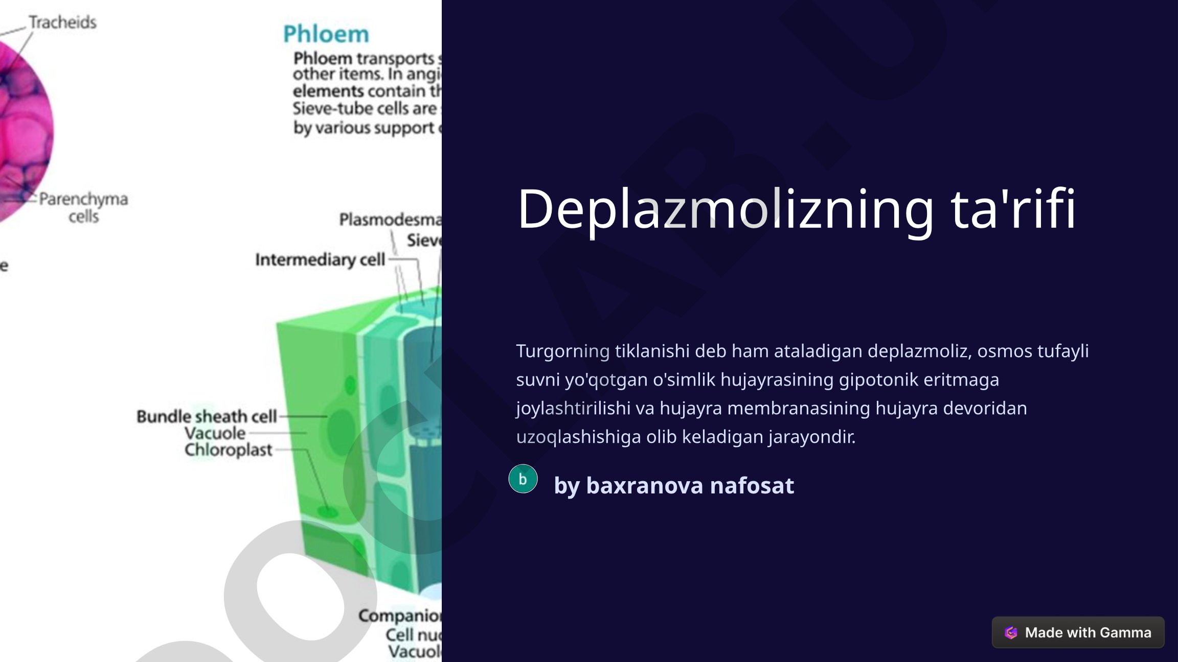 Deplazmoliz jarayoni