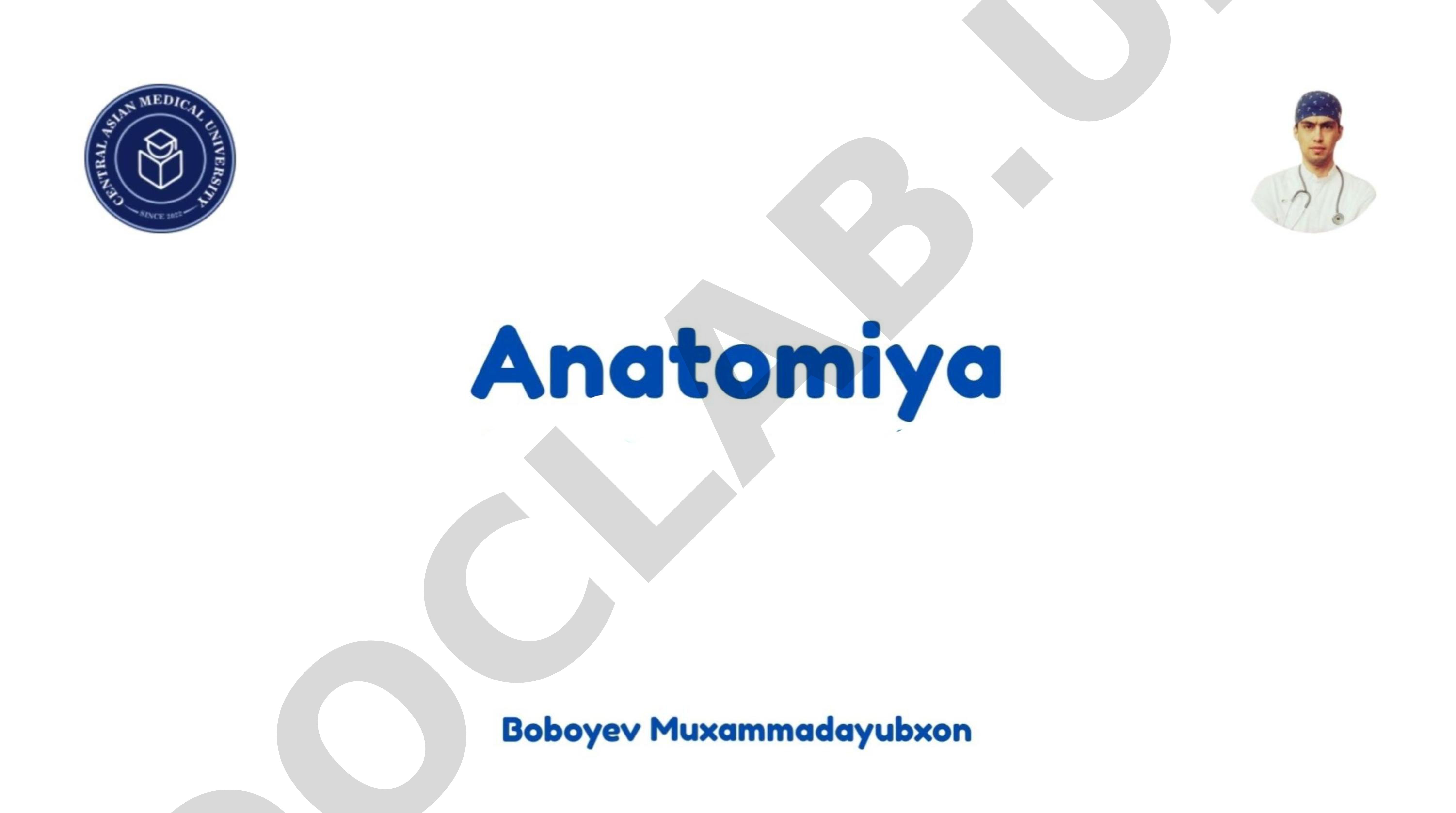 Anatomiya