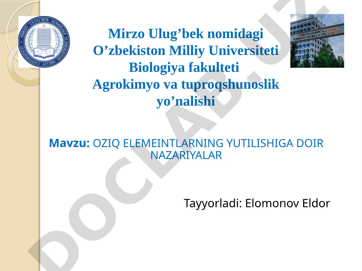 Oziq elementlarning yutilishiga doir nazariyalar