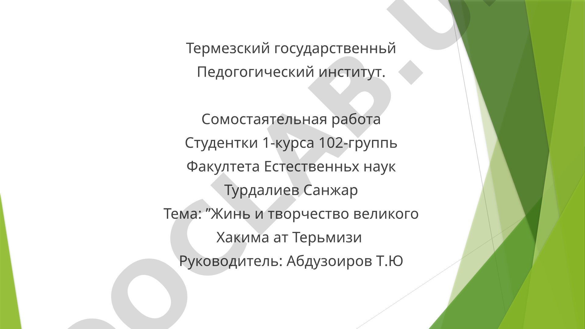 Жинь и творчество великого Хакима ат Терьмизи