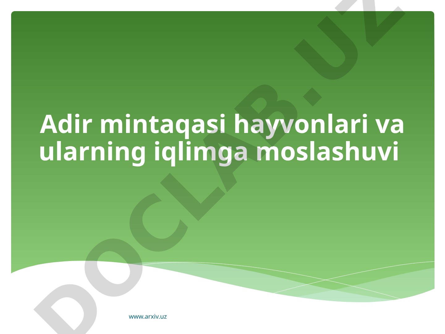 Adir mintaqasi hayvonlari va ularning iqlimga moslashuvi