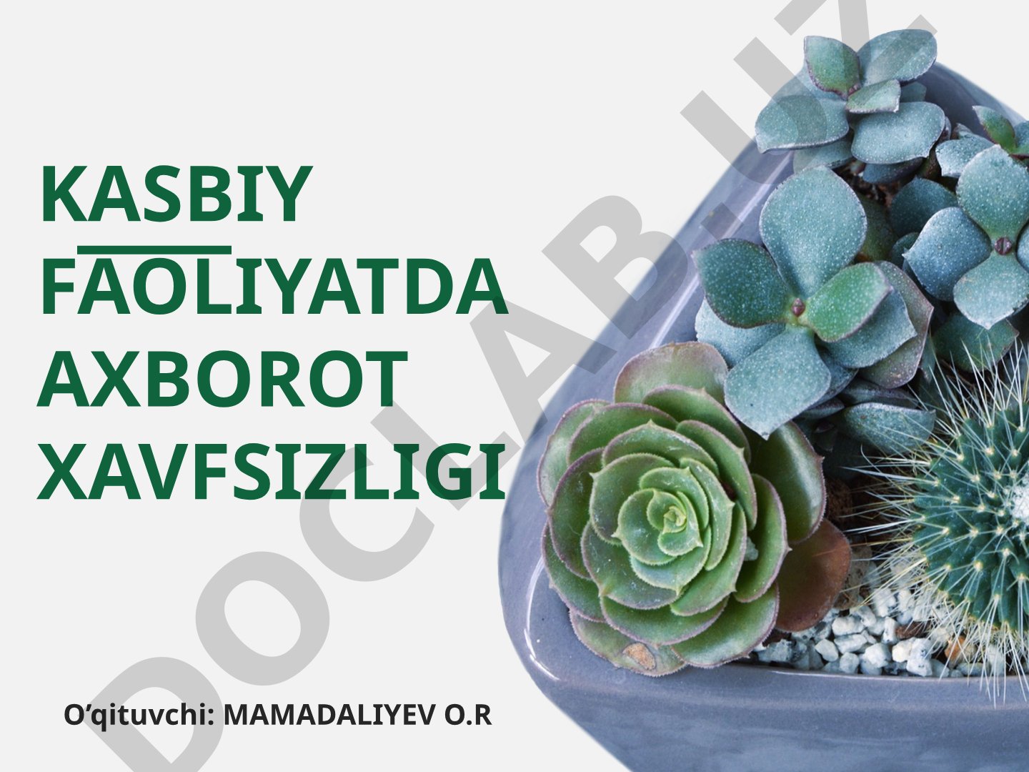 Axborotni apparat va dasturiy ta’minotdan ximoya qilish