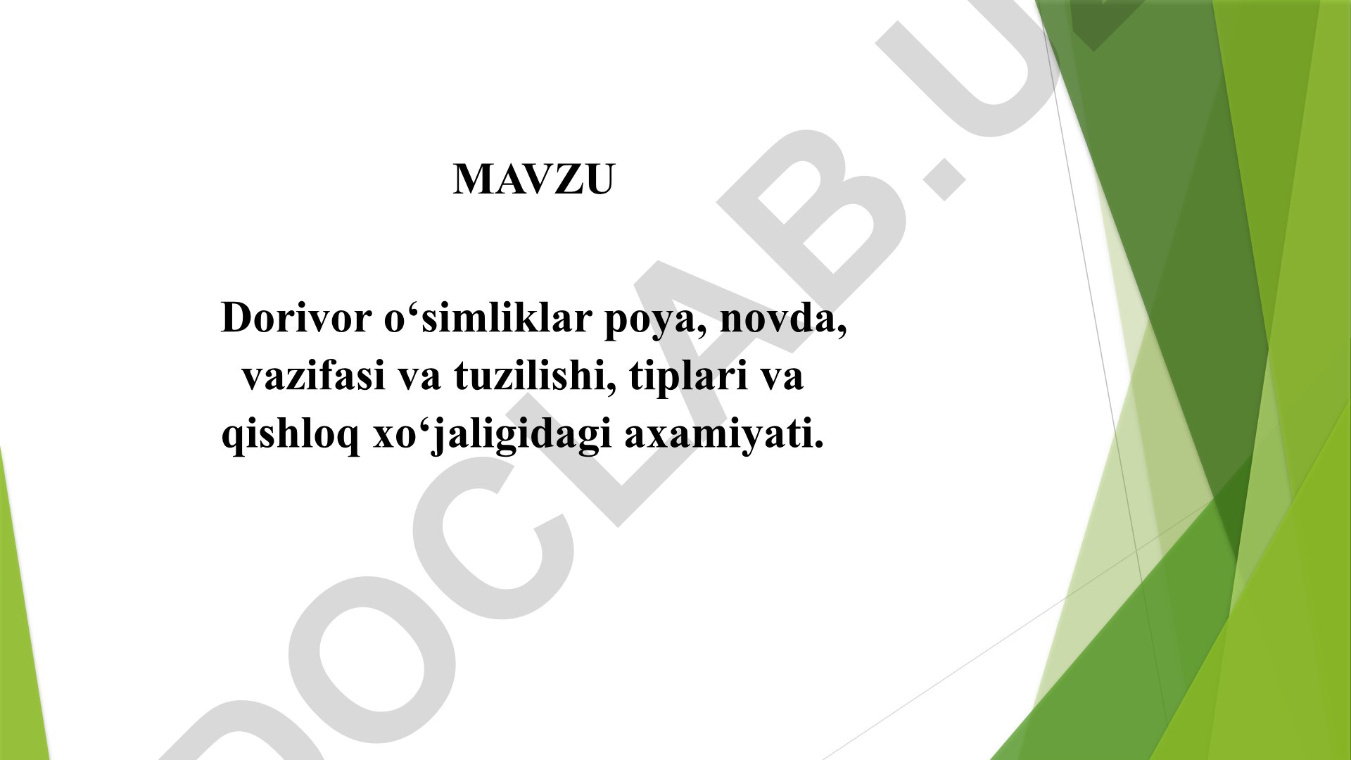 Dorivor o‘simliklar poya, novda, vazifasi va tuzilishi, tiplari va qishloq xo‘jaligidagi axamiyati