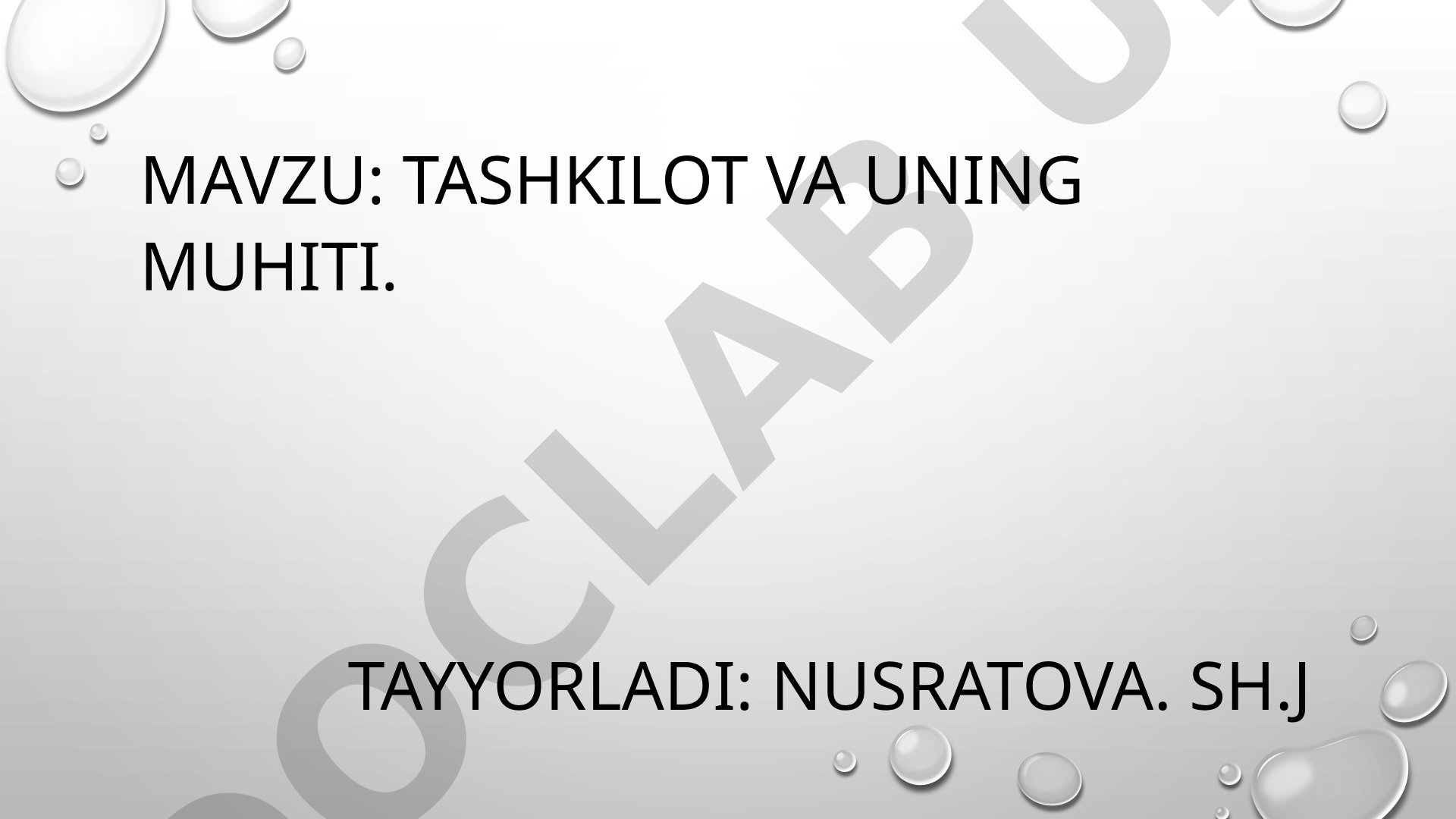 Tashkilot va uning muhiti