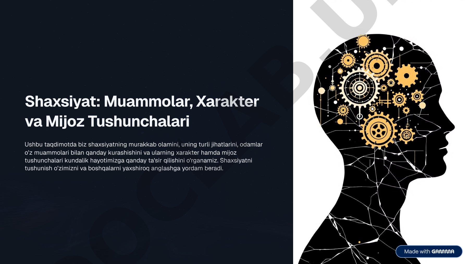 Shaxsiyat: Muammolar, Xarakter va Mijoz Tushunchalari