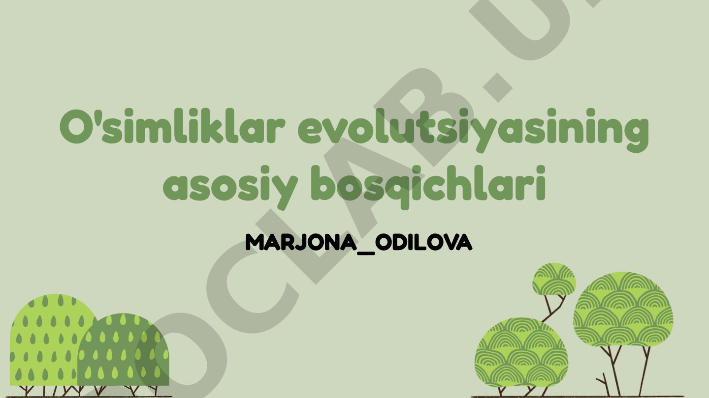 O'simliklar evolutsiyasining asosiy bosqichlari