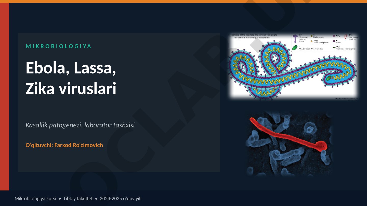 Ebola, Lassa, Zika viruslari