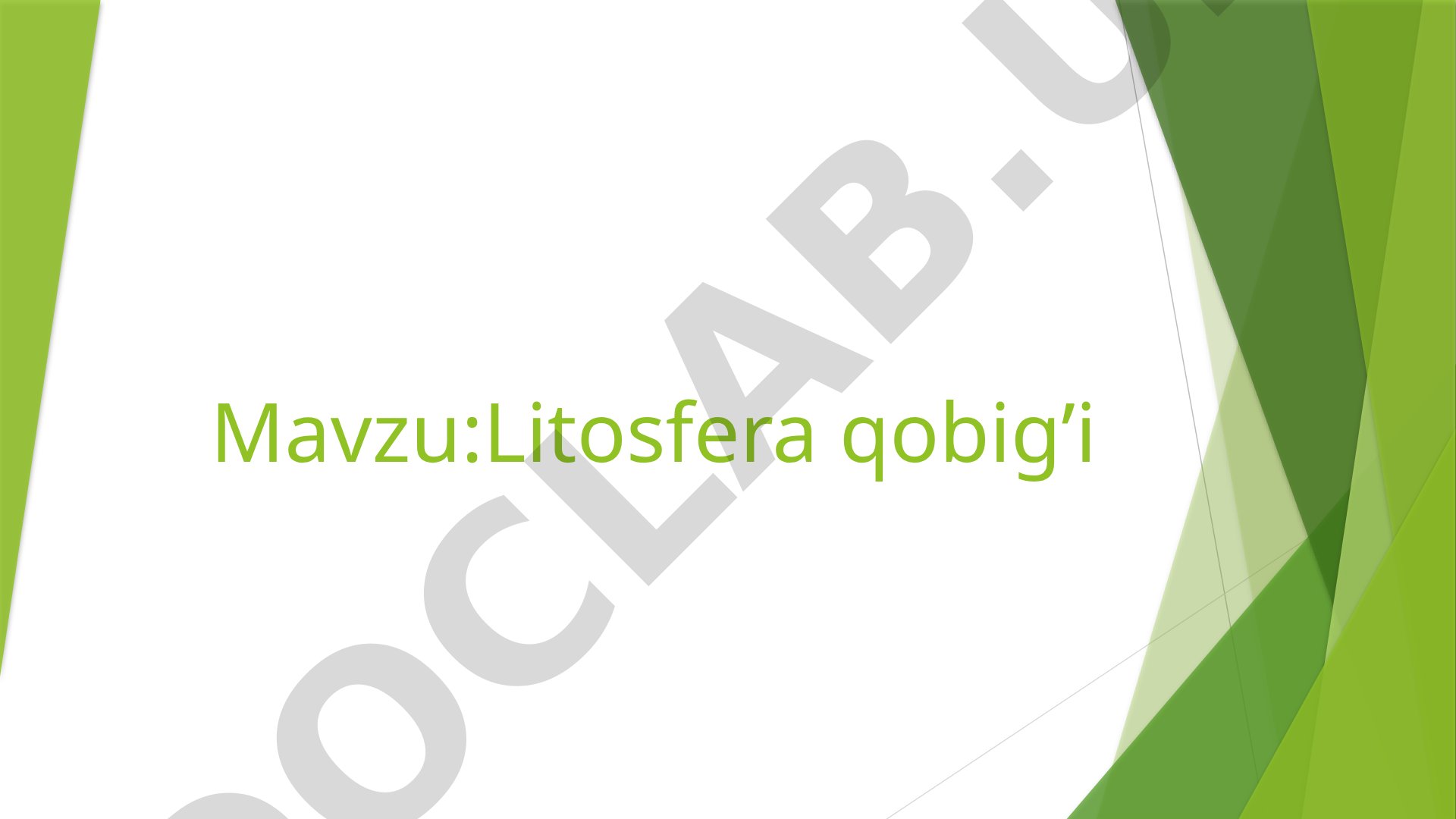 Litosfera qobig’i