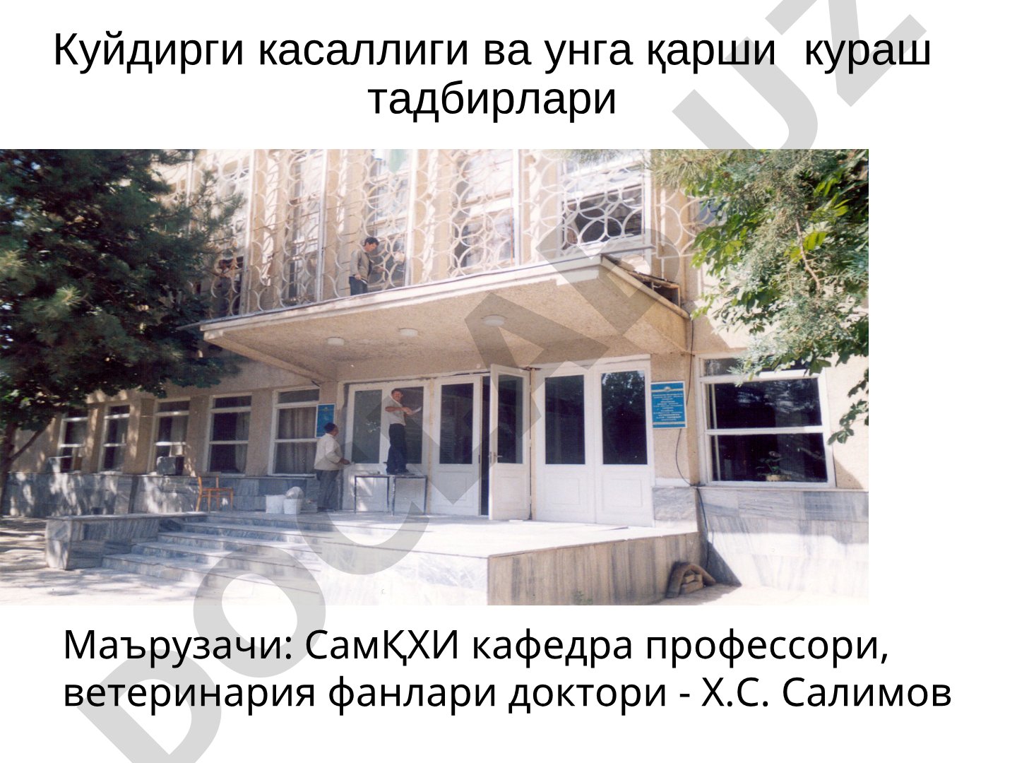Куйдирги касаллиги ва унга қарши кураш тадбирлари
