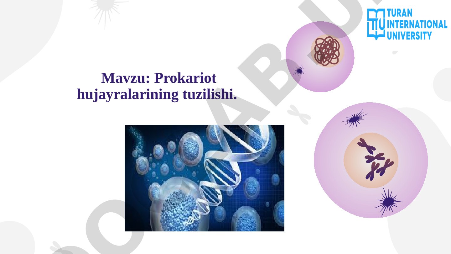 Prokariot hujayralarining tuzilishi