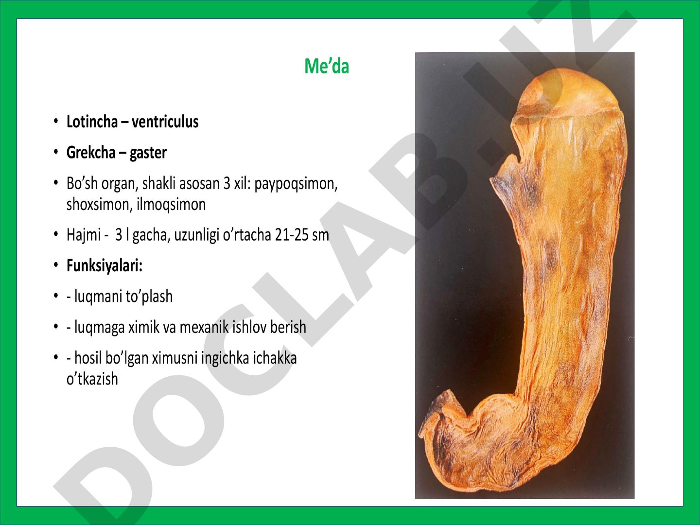 Qoraqalpoq xalq qo‘shiqlari