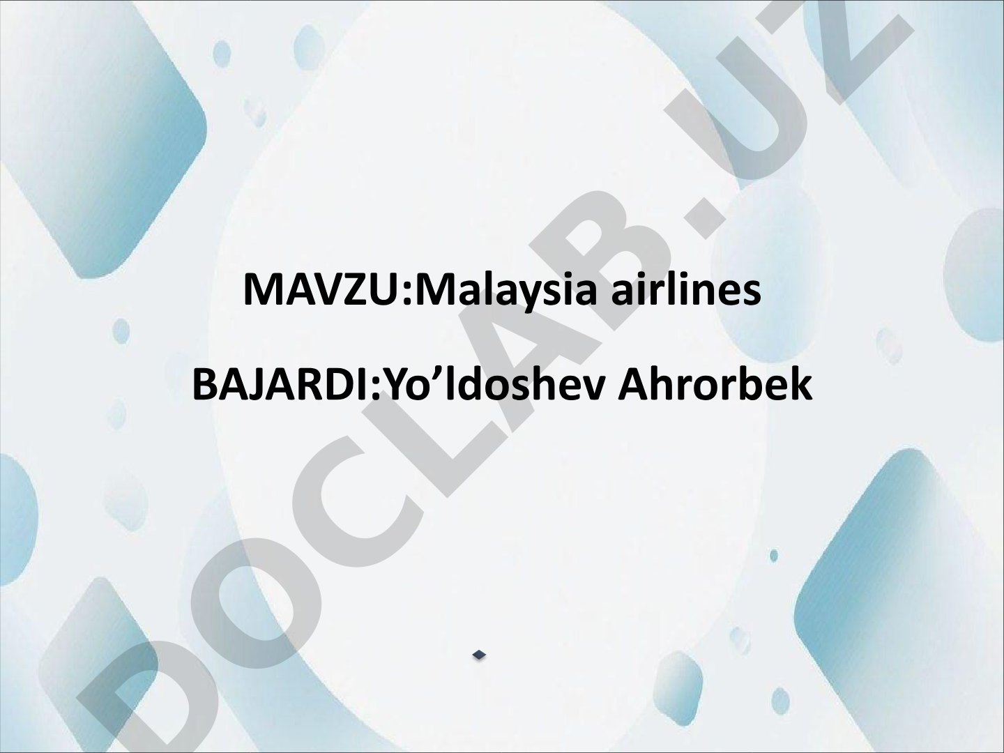 Malaysia airlines