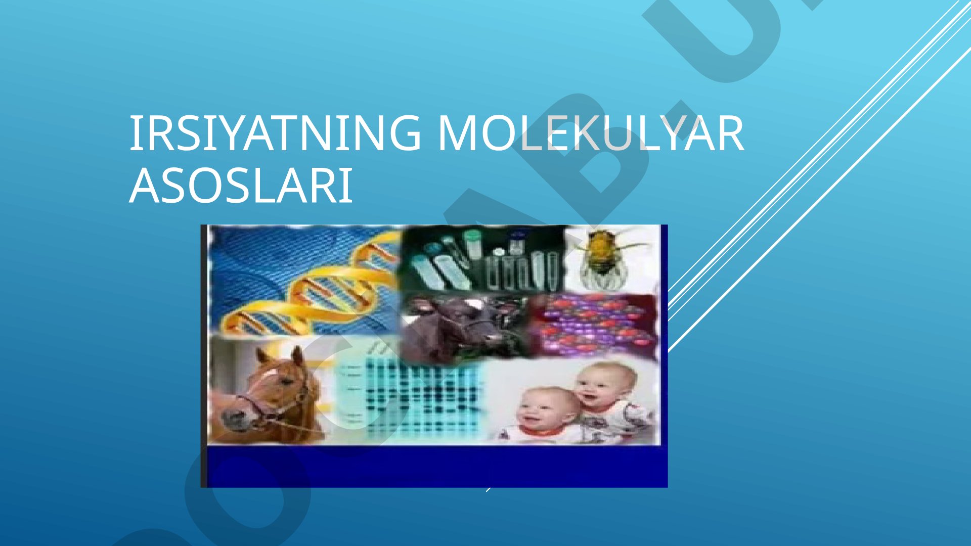 Irsiyatning molekulyar asoslari