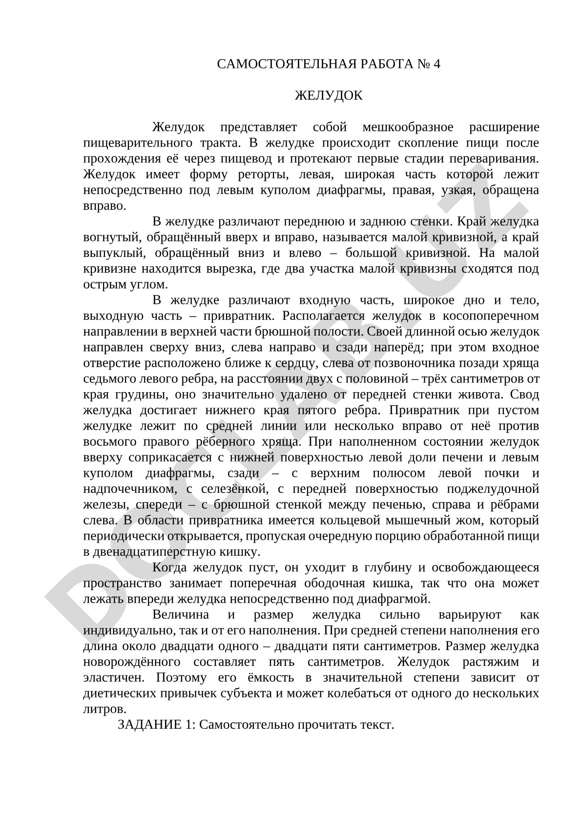 Желудок