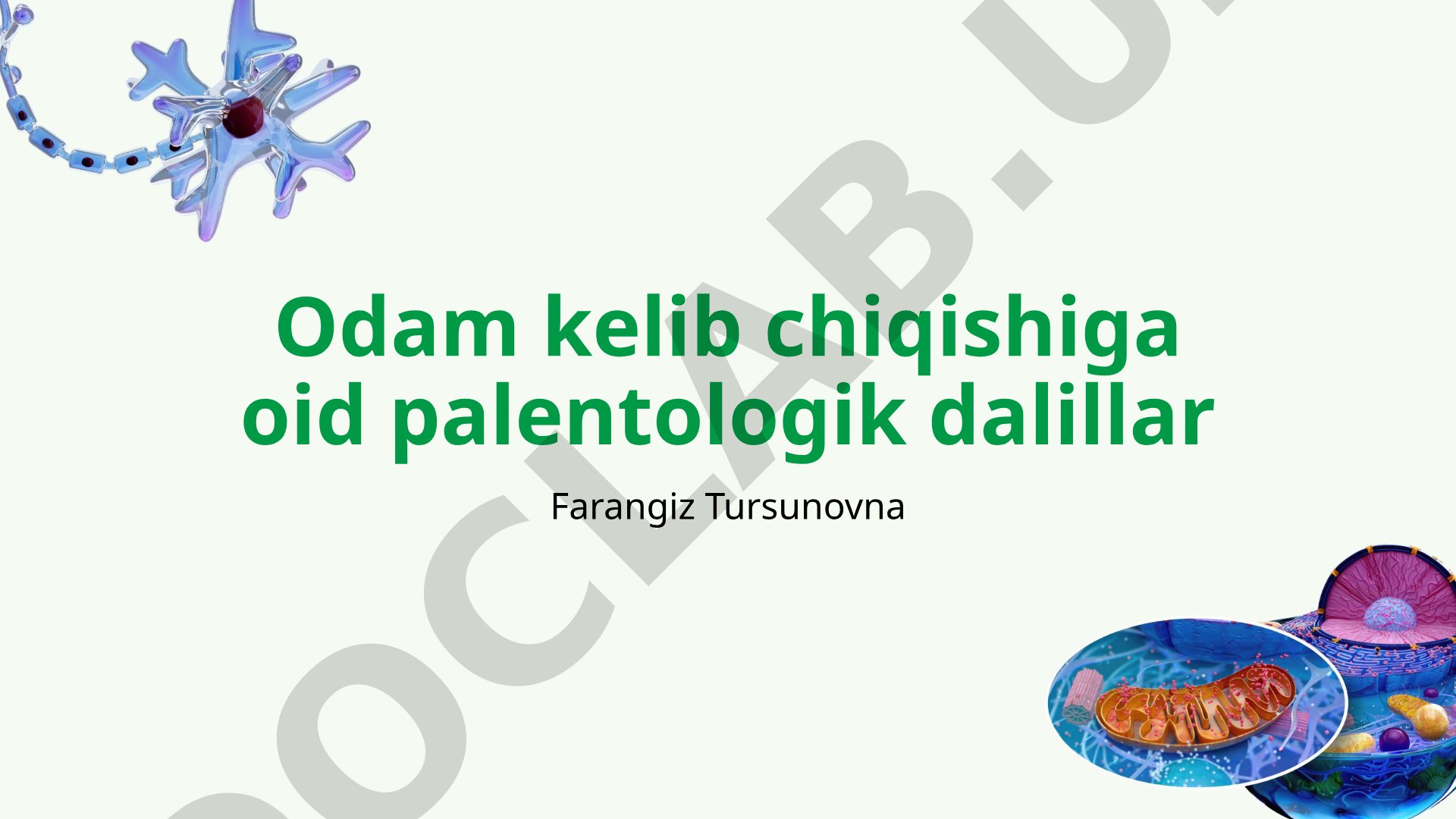 Odam kelib chiqishiga oid palentologik dalillar