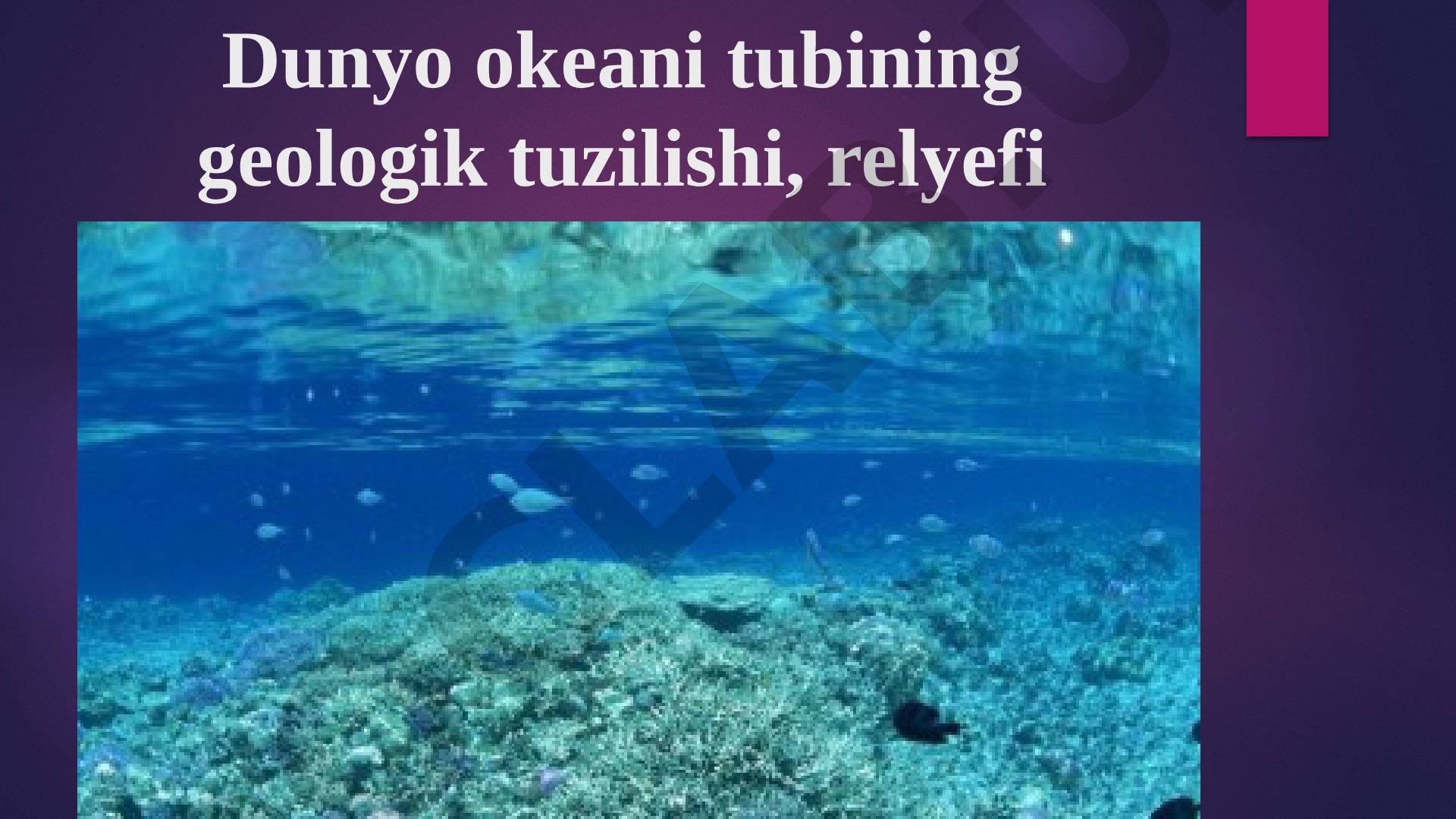 Dunyo okeani tubining geologik tuzilishi, relyefi