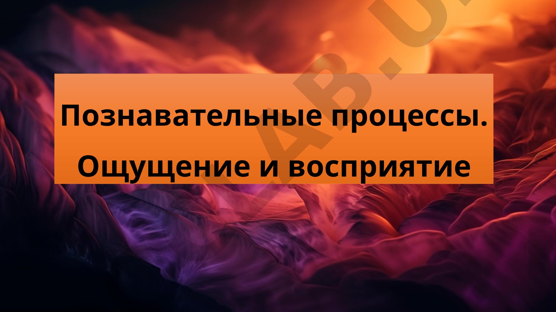 Познавательные процессы. Ощущение и восприятие