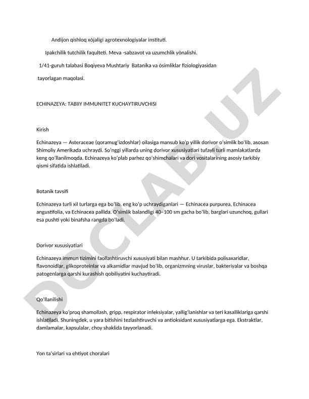 Echinazeya: Tabiiy immunitet kuchaytiruvchisi