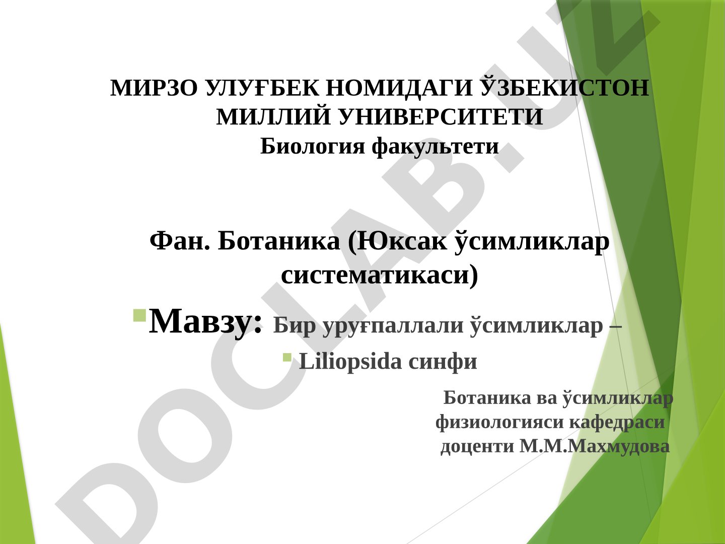 Бир уруғпаллали ўсимликлар – Liliopsida синфи