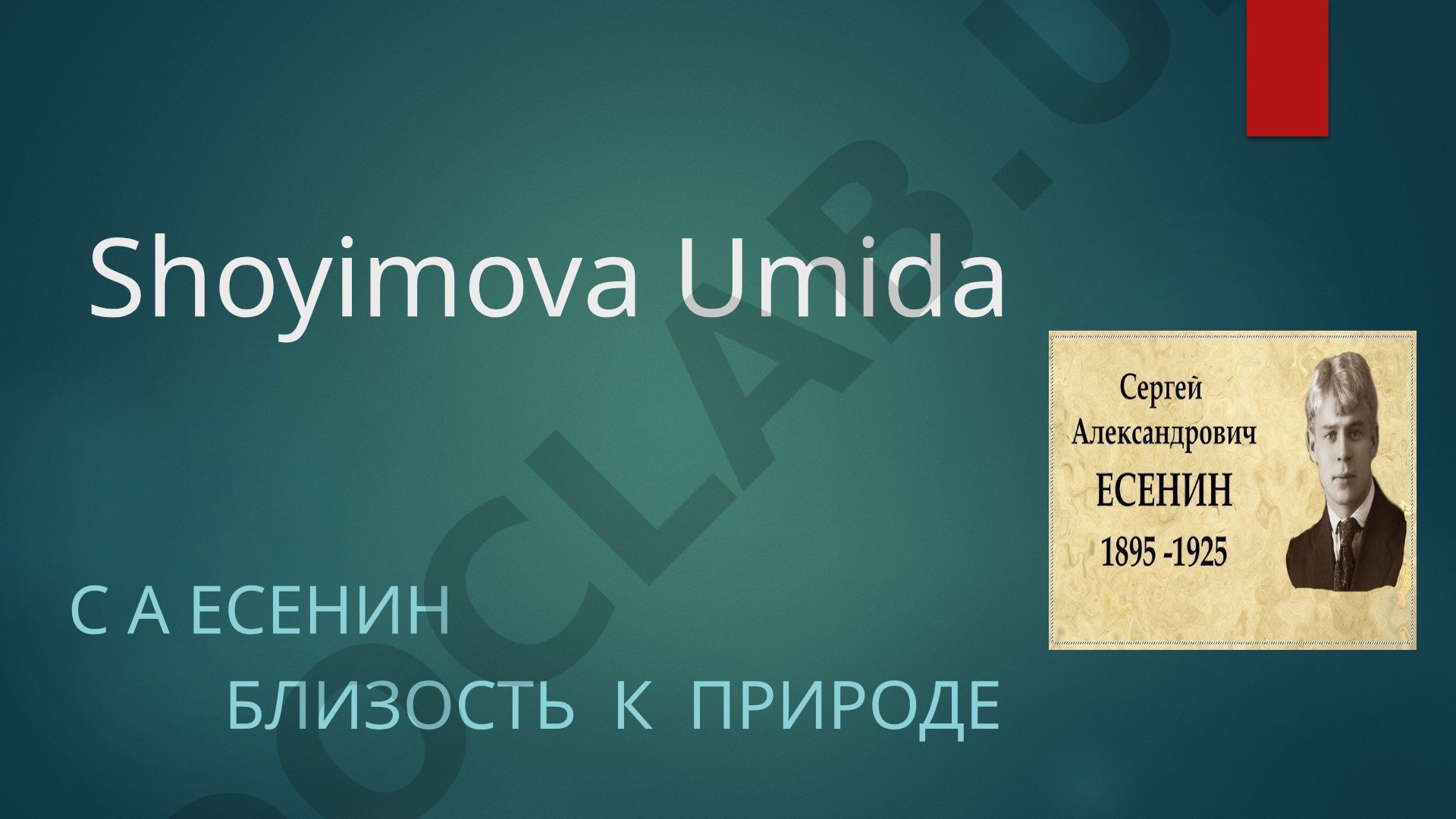 Сергей Есенин: близость к природе