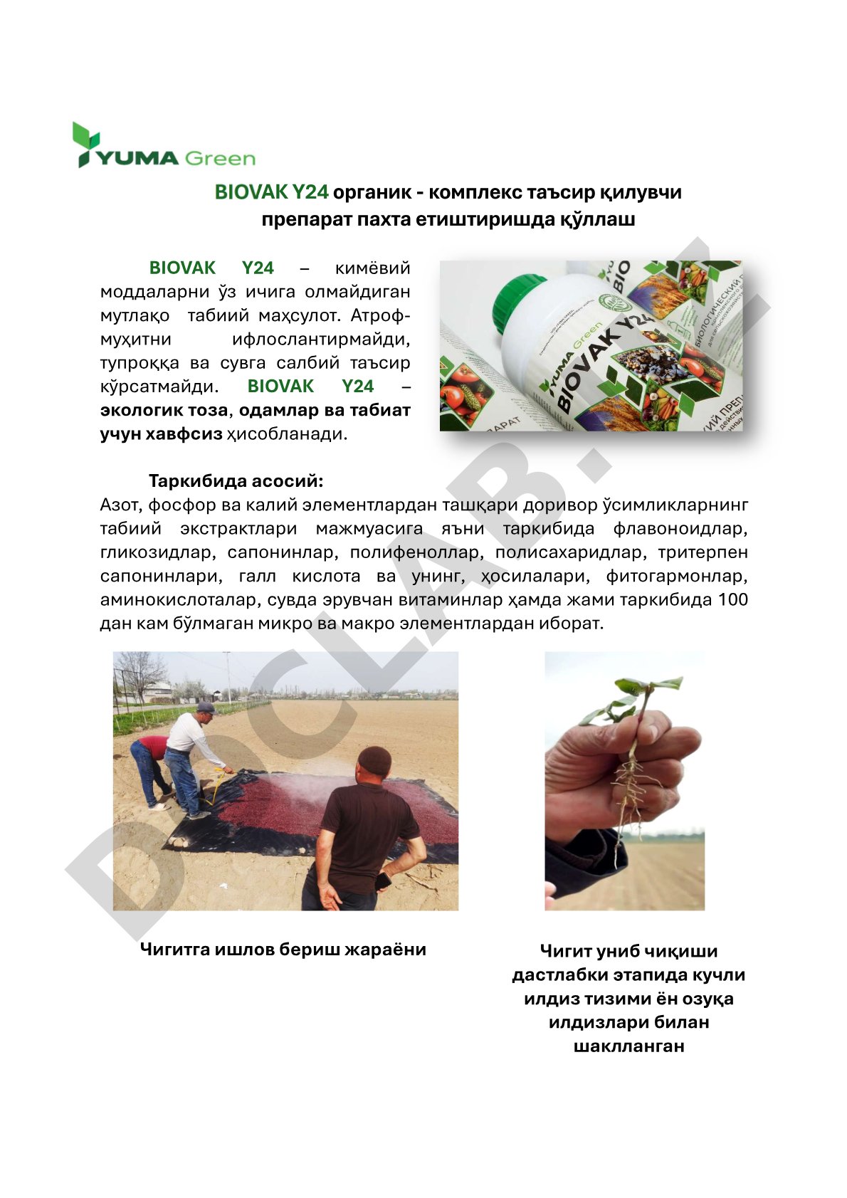 BIOVAK Y24 органик комплекс таъсир қилувчи препарат пахта етиштиришда қўллаш