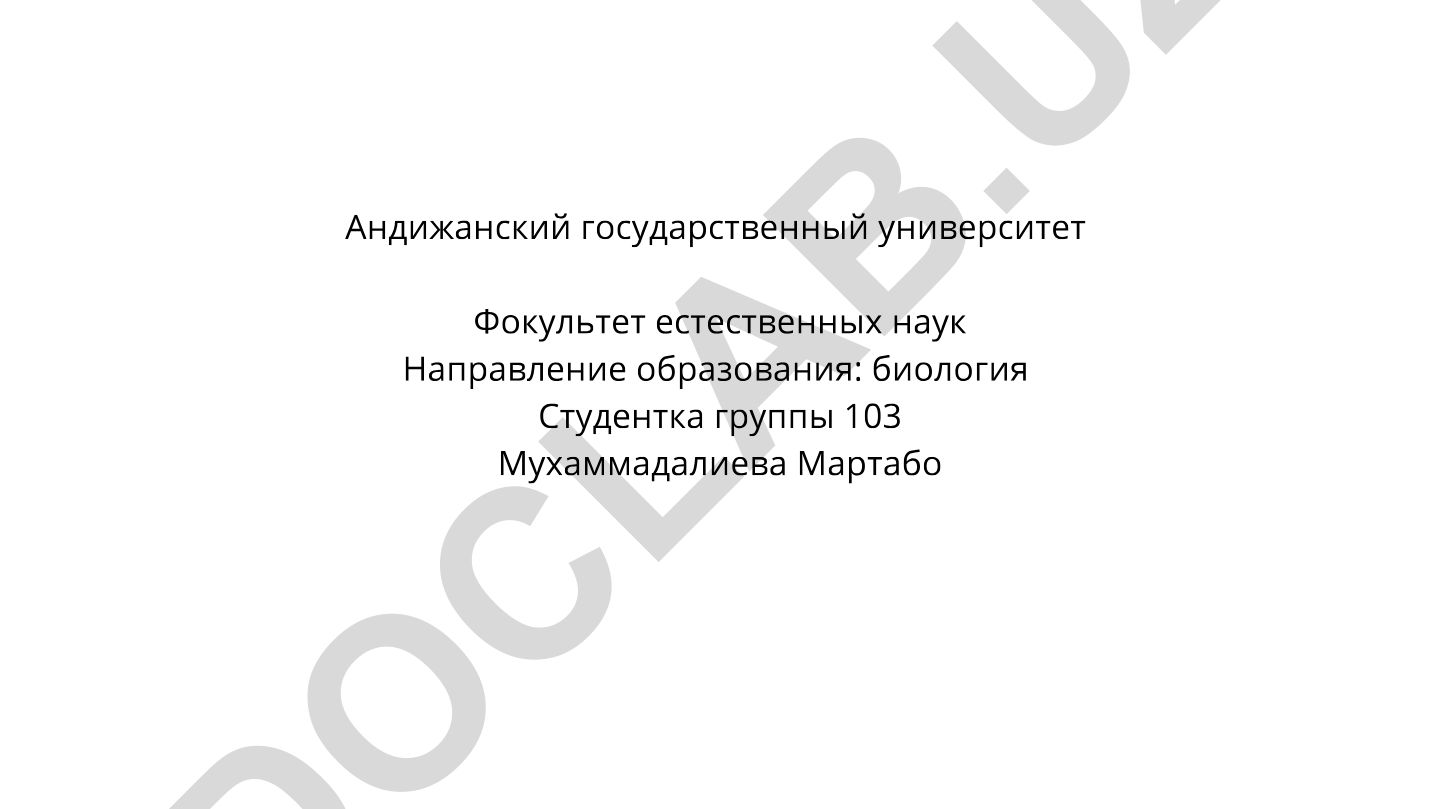 Особые формы глагола: причастный и деепричастный обороты в русском языке