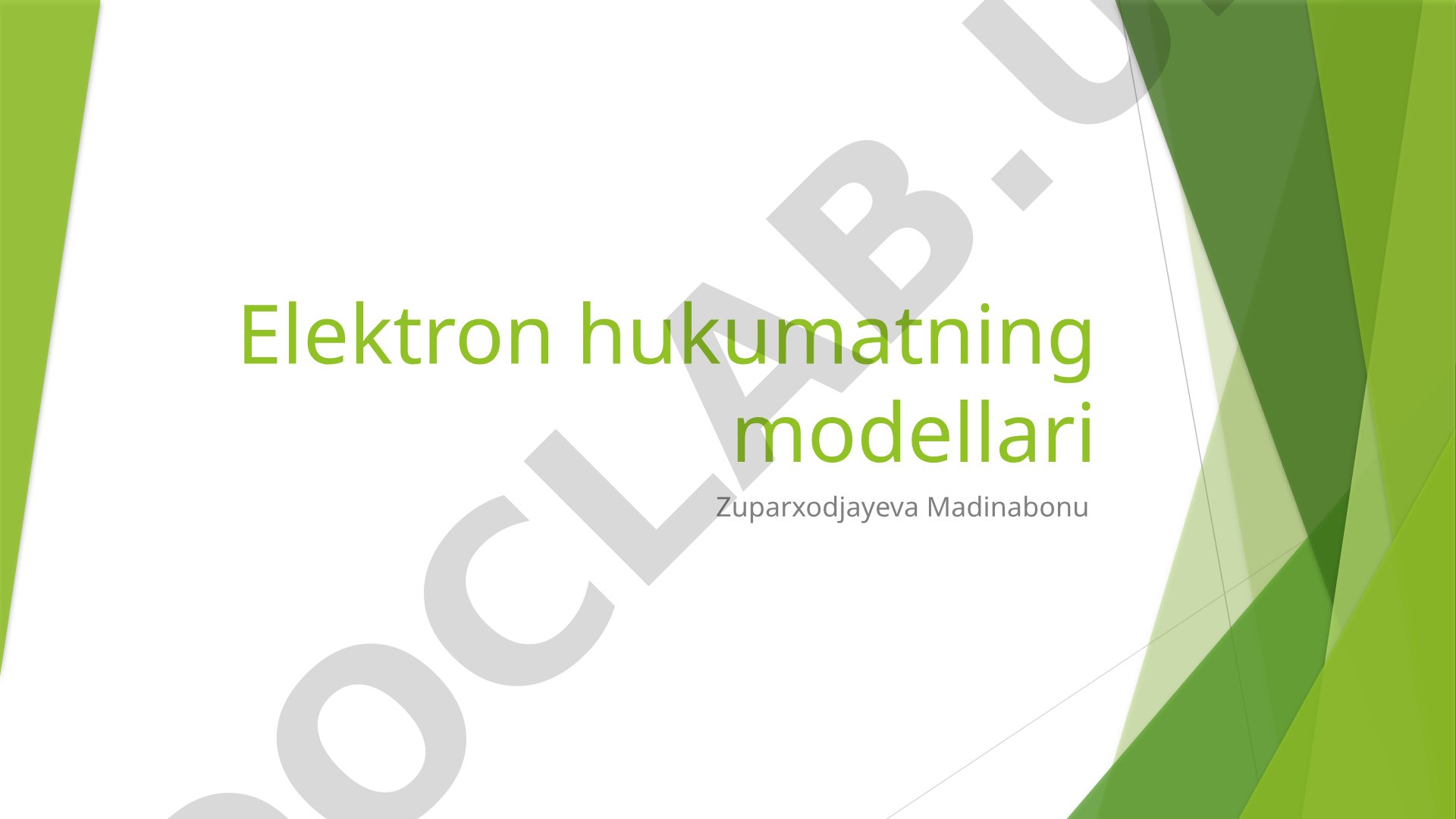 Elektron hukumatning modellari