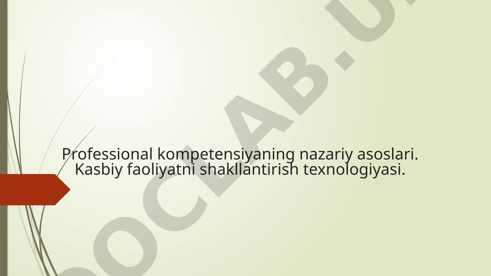 Professional kompetensiyaning nazariy asoslari