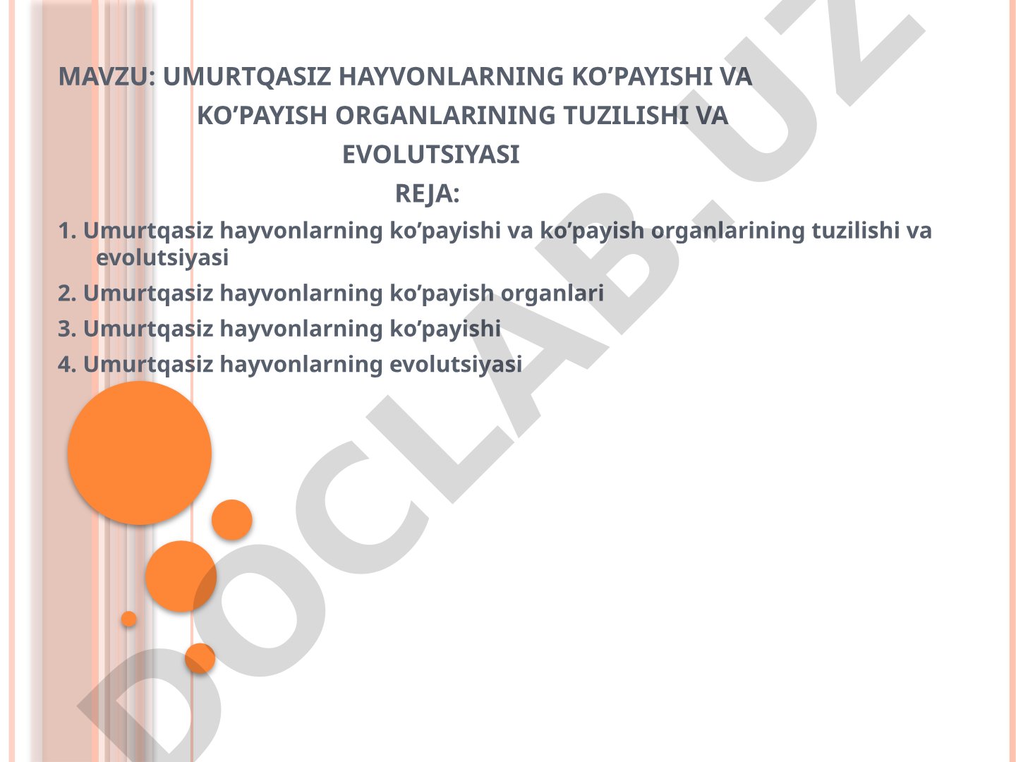 Umurtqasiz hayvonlarning ko’payishi va ko’payish organlarining tuzilishi va evolutsiyasi