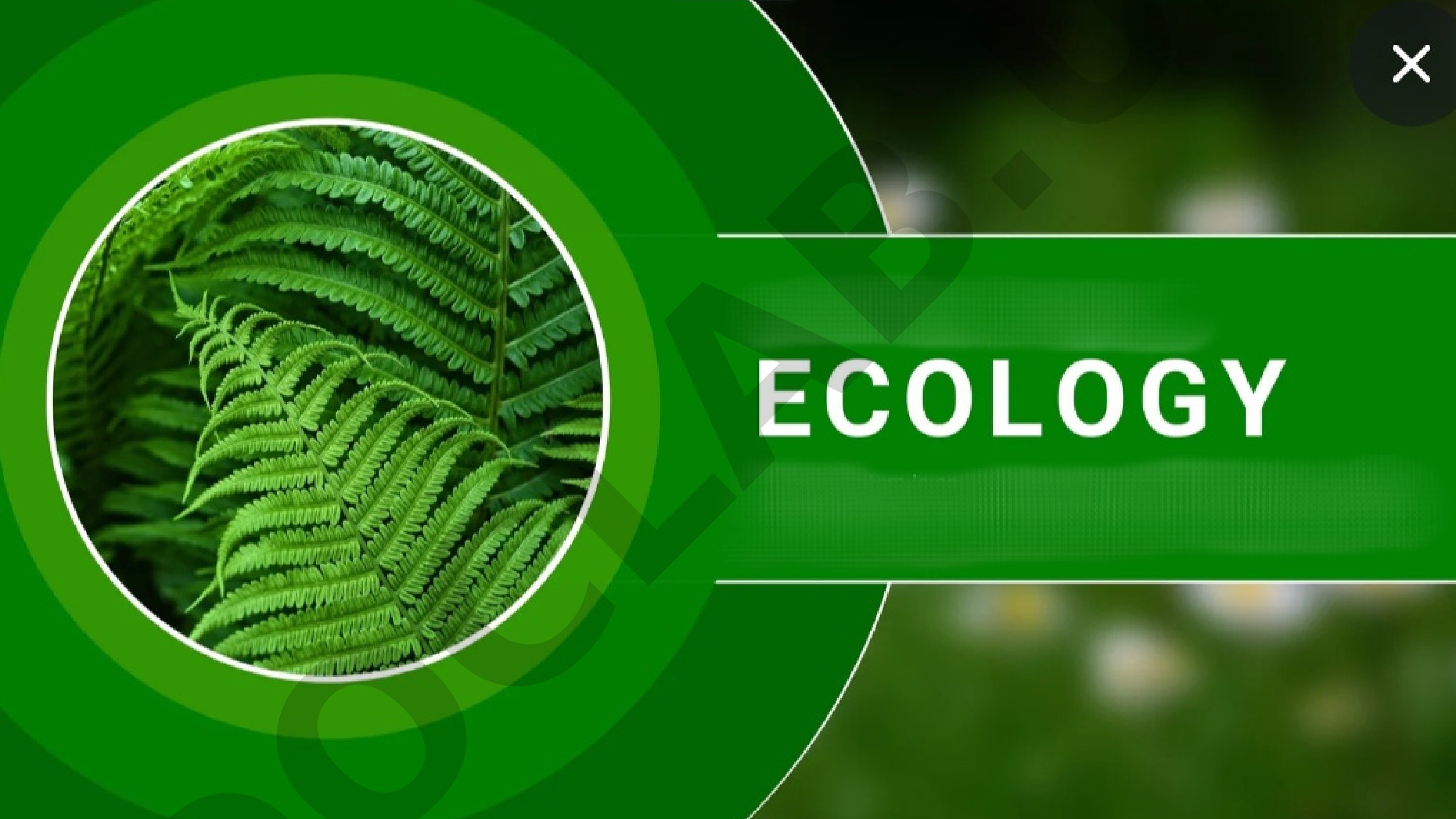 An educational material introducing the subject of ecology