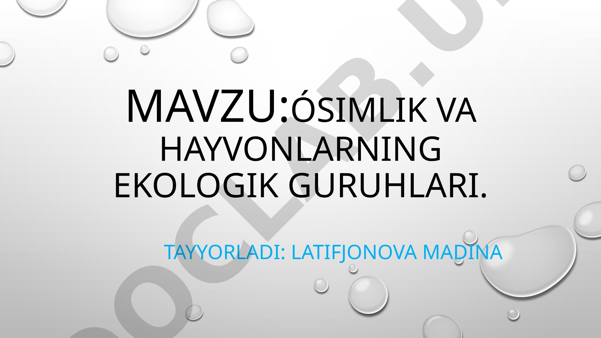 O'simlik va hayvonlarning ekologik guruhlari