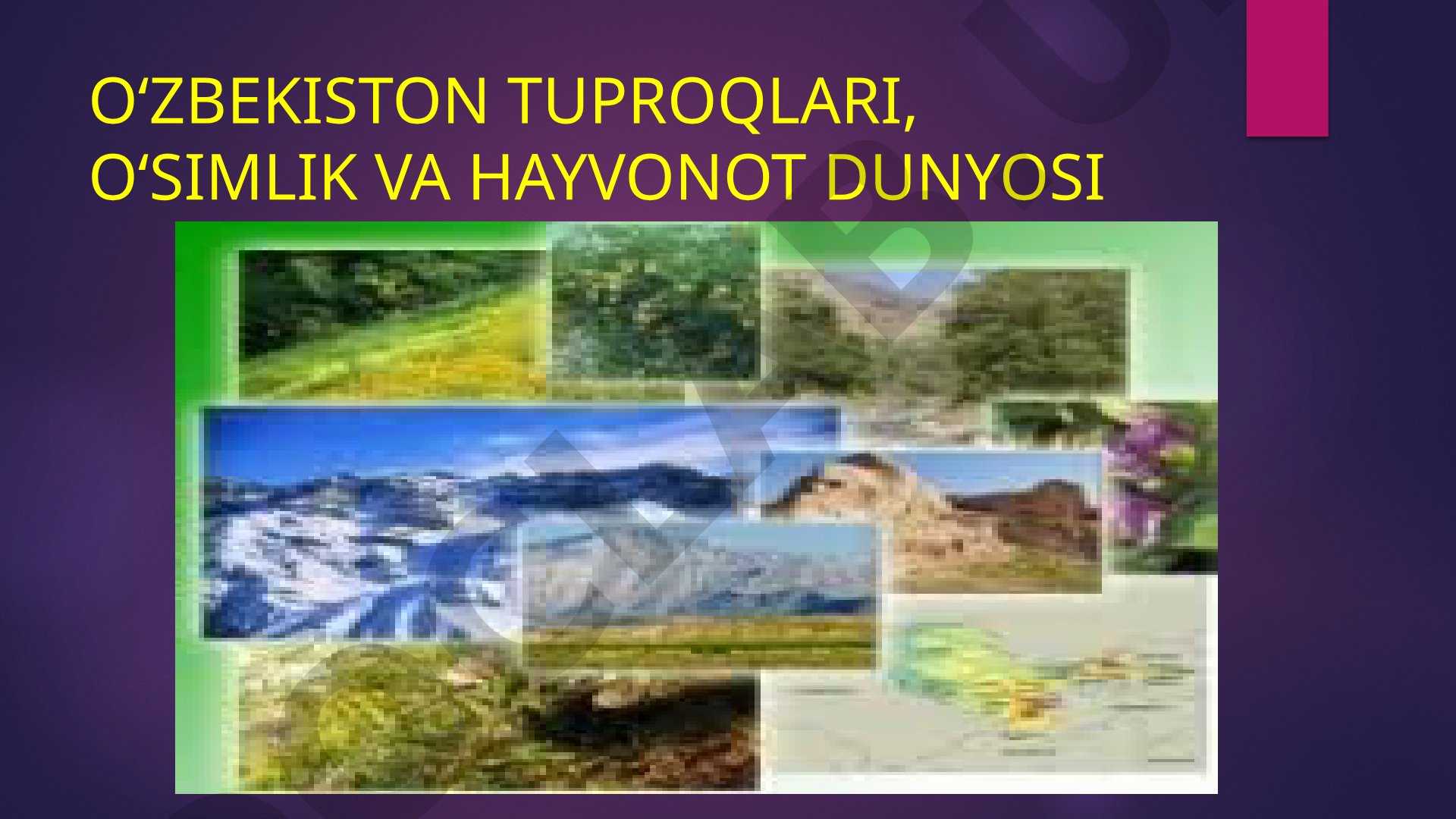 O‘zbekiston tuproqlari, o‘simlik va hayvonot dunyosi