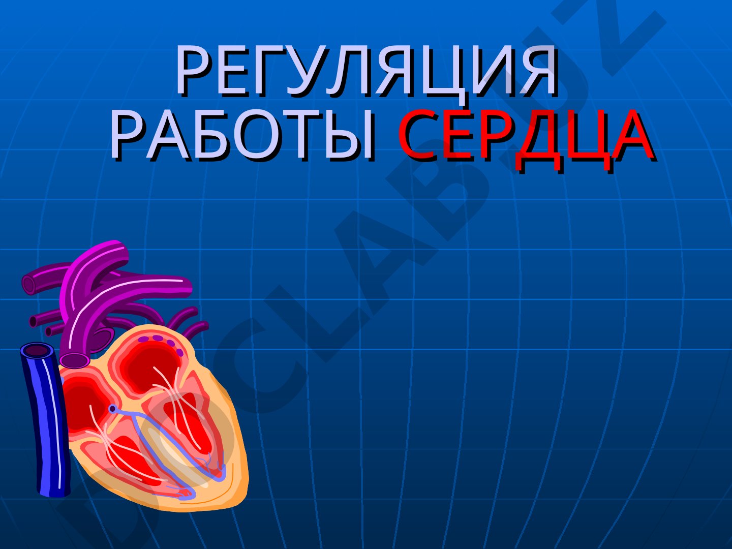 Регуляция работы сердца и иннервация сердца