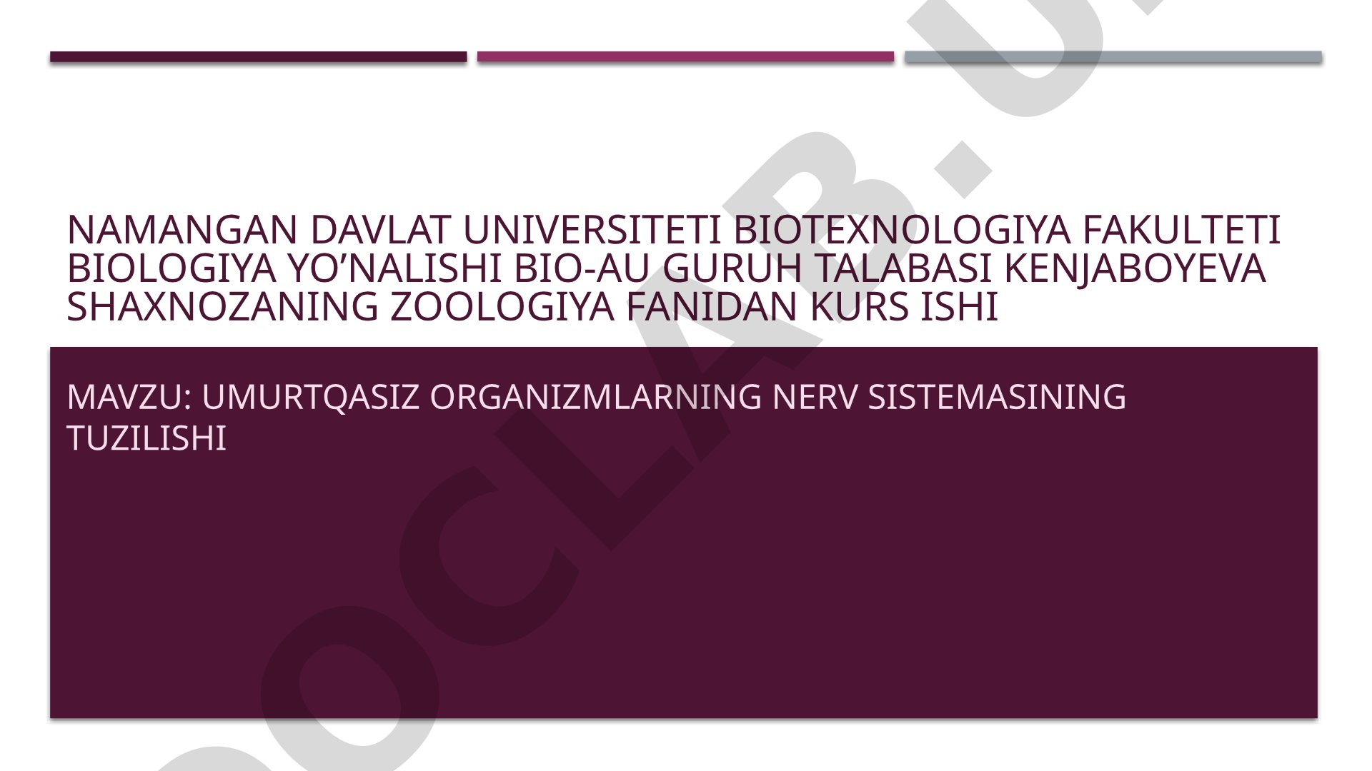 Umurtqasiz organizmlarning nerv sistemasining tuzilishi