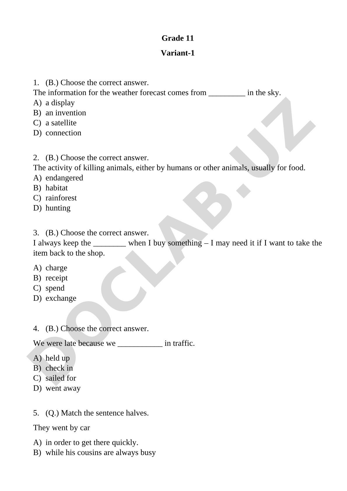 Grade 11 English Language Test Variant 1