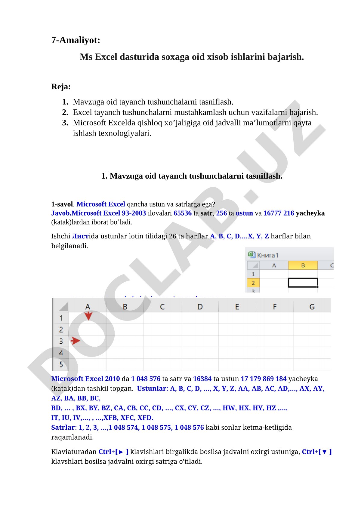 Ms Excel dasturida soxaga oid xisob ishlarini bajarish