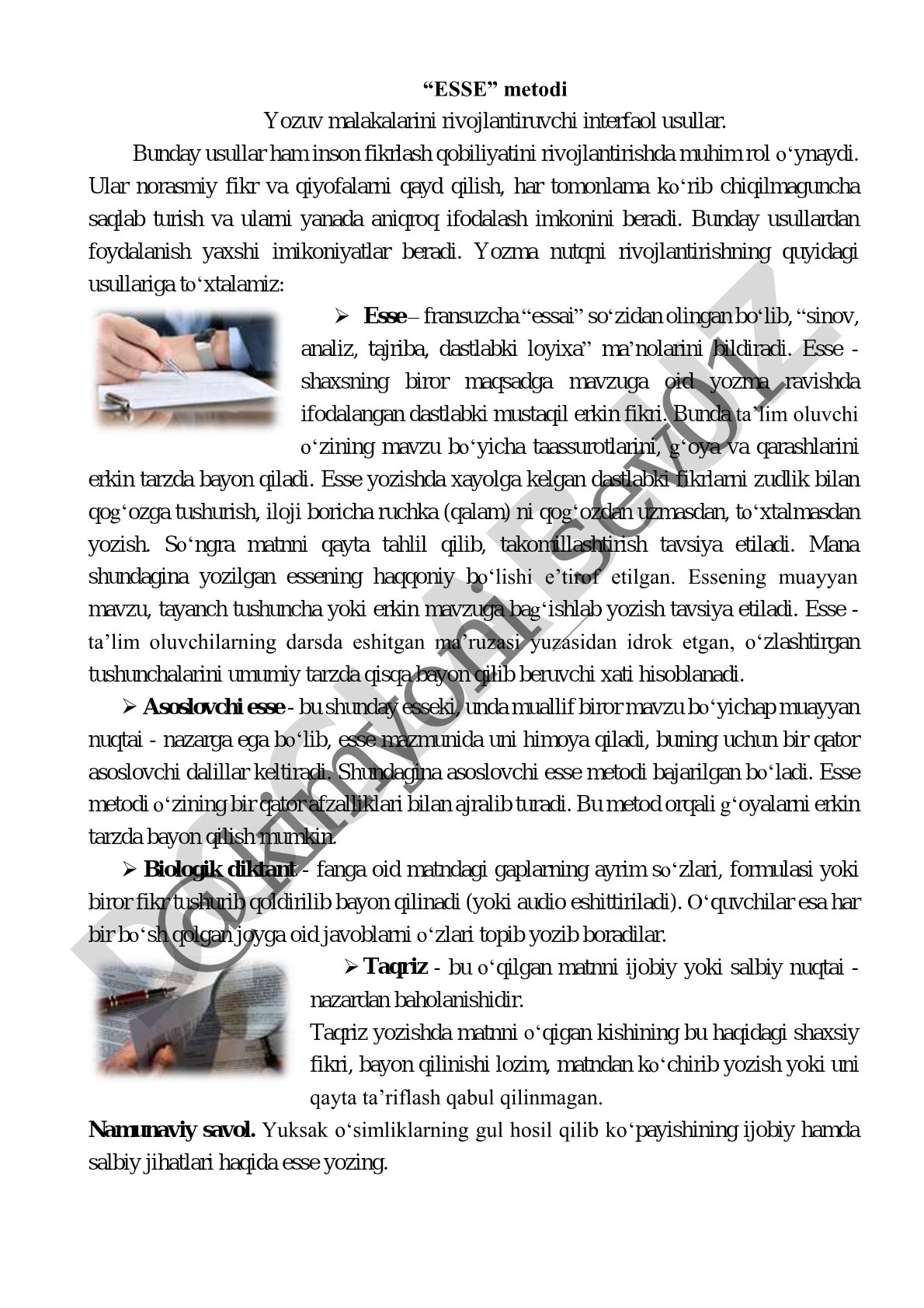 ESSE metodi orqali yozma nutqni rivojlantirish