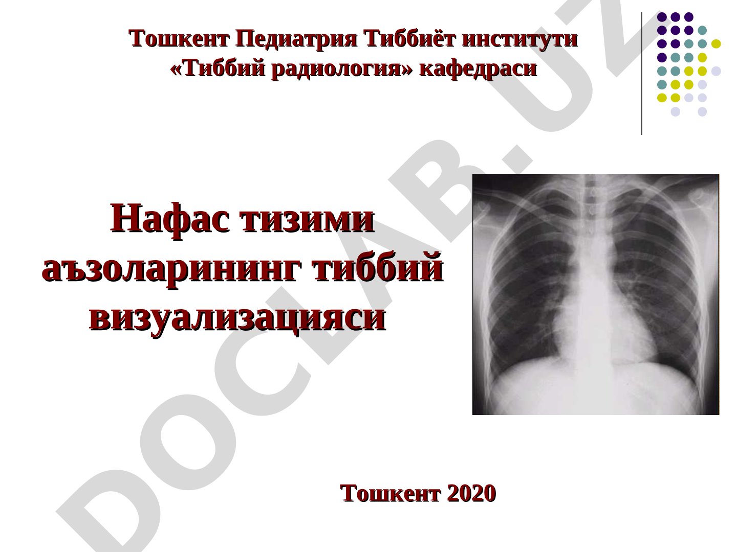 Нафас тизими аъзоларининг тиббий визуализацияси