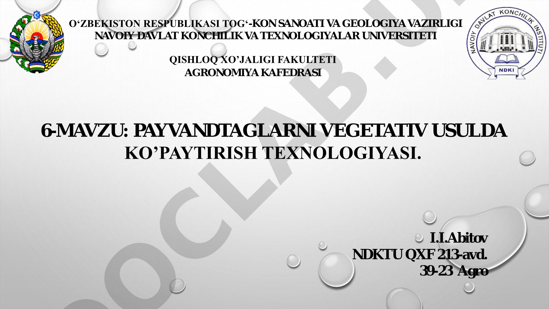 Payvandtaglarni vegetativ usulda ko‘paytirish texnologiyasi