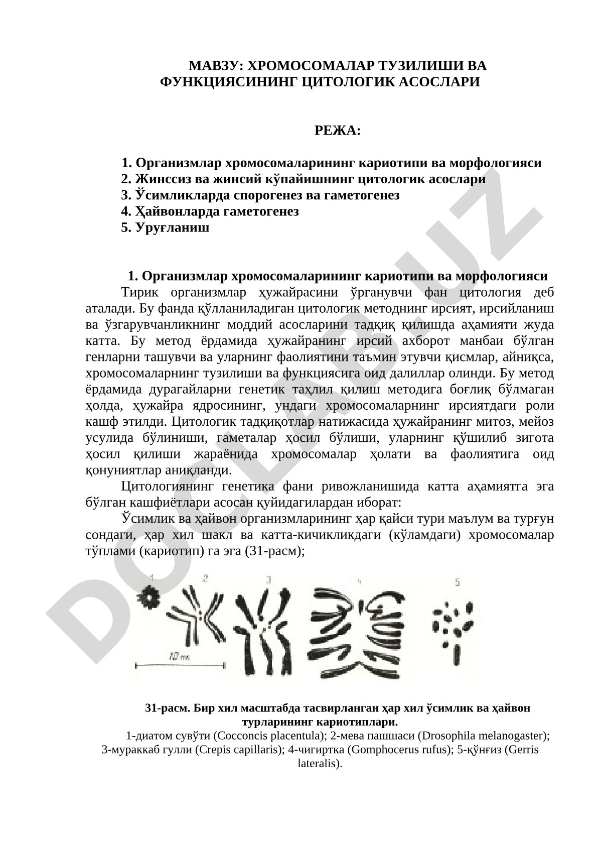 ХРОМОСОМАЛАР ТУЗИЛИШИ ВА ФУНКЦИЯСИНИНГ ЦИТОЛОГИК АСОСЛАРИ